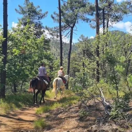 וילה Montesoro, Hystoric Country With Swimming Pool, Sorrounded By Nature *